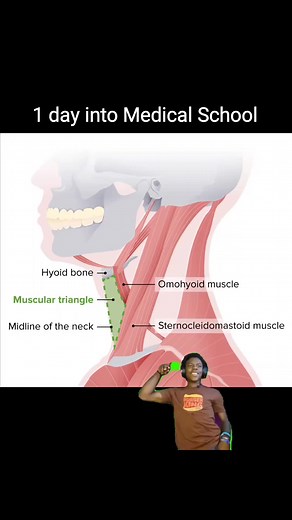 9.6K views · 181 reactions | #medschoolproblems #medschoolhumor #medschoolmemes #medstudentlife #medicine #medschoolfun | Cebu Medschool Memes | Facebook