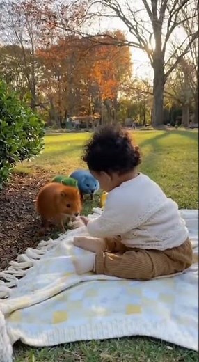 Suddenly Tiny Creatures Appeared in the Backyard and Started Playing With a Toddler | Real Moment