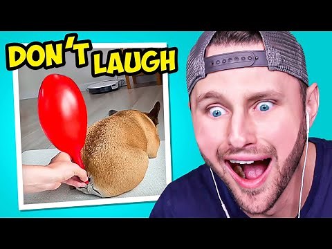 Watching The World's Funniest Videos