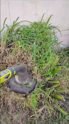 Cutting Through Overgrowth With Ryobi Weed Electric Eater