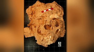 Archaeologists uncover a prehistoric grave containing our revolutionary cousin. | Ancient Aliens