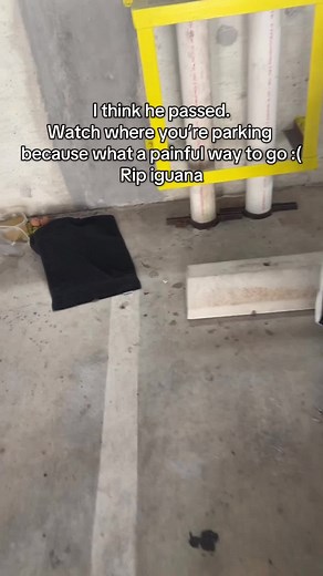 I hope he went feeling loved.