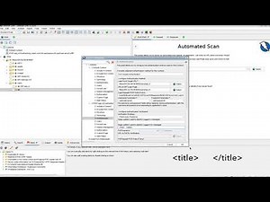 Authenticated Scanning with the VNS3 OWASP ZAP Plugin