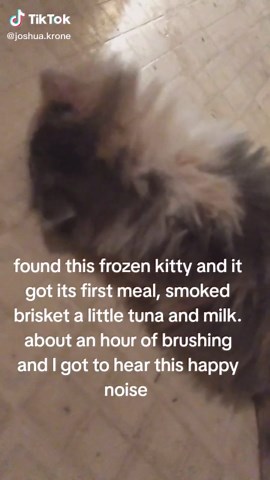 #smokedbrisket #frozen #lostandfound | Brisket