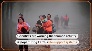 Human activity jeopardising Earth's life-support systems - study