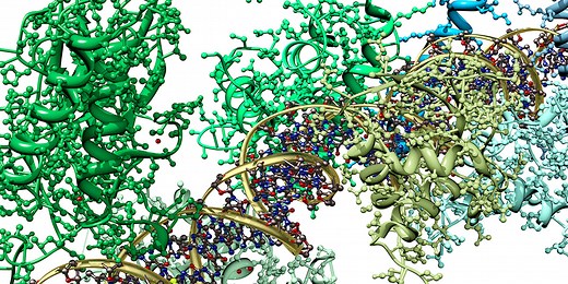 BSc (Hons) Biochemistry