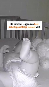 1.4M views · 8.9K reactions | Met hem aan zijn zijde kan hij rustig slapen  | Argo Nederland | Facebook