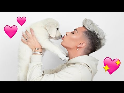 Adopting A Puppy!! 🐶