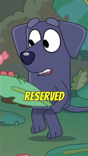 The Top 5 BEST Bluey Episodes Ever