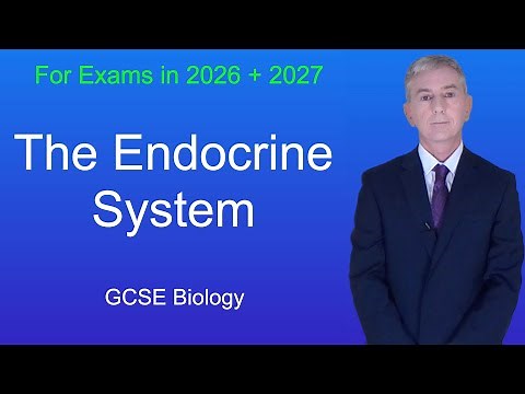GCSE Biology Revision "The Endocrine System"