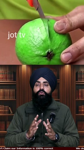 Seed Soaking Explained Boost Germination #SeedSoaking #GardeningTips #PlantGrowth