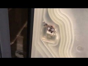 Thermador Bosch Dishwasher E-15 Error Code