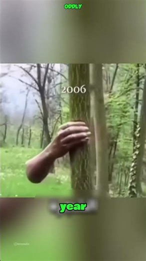 What Happens if You Never Let Go? 🌳🖐️