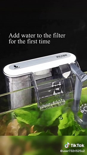 Do you know how to make your fish tank have clean water?#aquarium #fish #fishtank #fyp #foryou #acuario