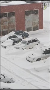 What to Do if Your Car is Stuck in Snow? After a heavy snowfall, it's common to find your car stuck in snow. To extricate yourself from this situation, keep a snow shovel in your vehicle. Clearing a path around the tires can help your car get unstuck. In this video, we'll explore the Forward-and-Back Technique. To maximize traction, straighten the wheels. Put your vehicle in the lowest gear. If you have a four-wheel-drive SUV or pickup, engage the low-range gearing. Move forward slightly, then s