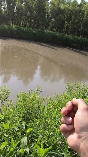 Carp Fly Fishing Casting Tip