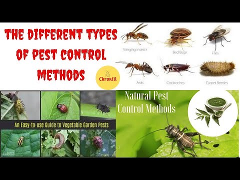What are the Different Types of Pest Control Methods