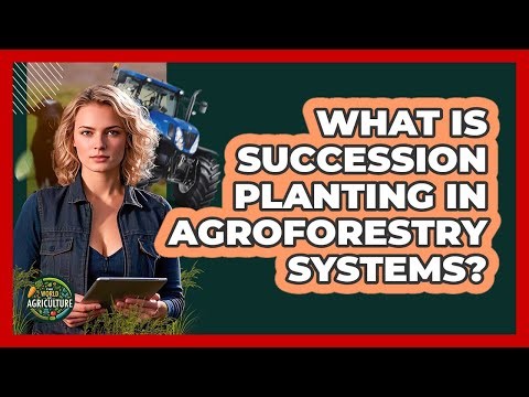 What Is Succession Planting In Agroforestry Systems? - The World of Agriculture