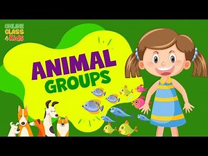 Animal Classification | Animal Groups | Animals for Kids to Learn | Educational Video