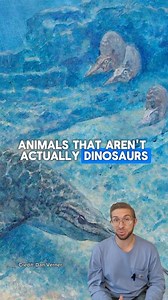 19K views · 1.1K reactions | Meet Mosasaurus, the fierce marine...