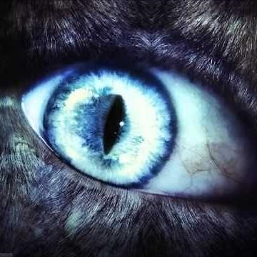 Werewolf Spell (tested)