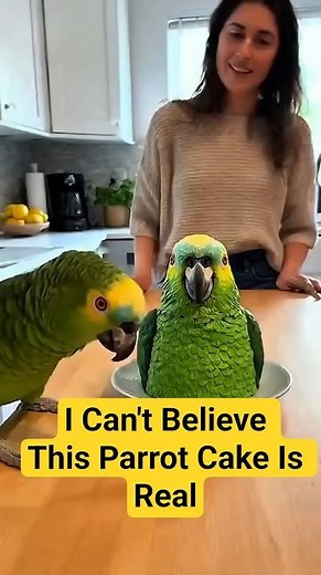 I Can't Believe This Parrot Cake Is Real #talkingparot #birds #nonstoptalkingparrot