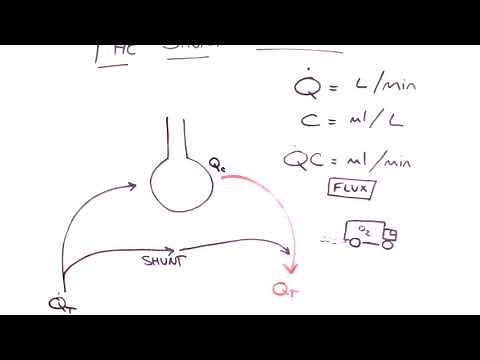 The Shunt Equation Explained