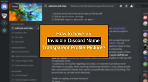 Invisible Discord Name & Picture (Transparent Avatar)