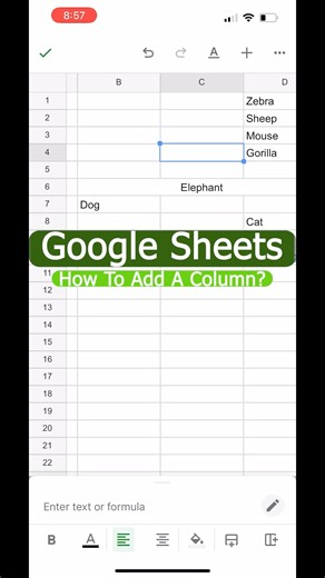 How to Add a Column in Google Sheets Mobile?
