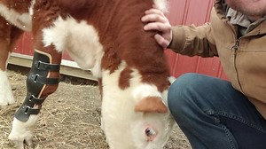 11K views · 1.2K reactions | In Summer 2020, I was contacted about a...