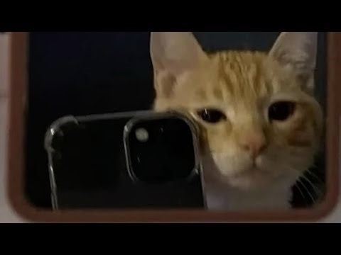 script de animacion de sonic y sonic.exe y camara primera persona script en comentario y descripcion