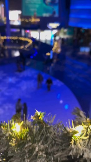 🎄✨ Holidays are making a splash at Georgia Aquarium! Festive animal shows❄️ | Music 🎶 | Lights 🌟 Buy your Aqua Pass now for unlimited visits all 2025 and 2026 👉 Plan your visit at GeorgiaAquarium.org | Georgia Aquarium