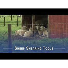 Sheep Shearing Tools