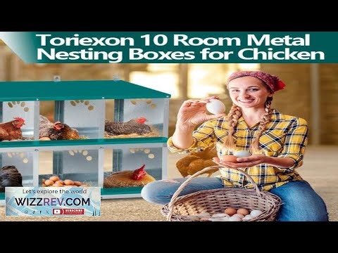 Garvee 10 Compartment Metal Nesting Box Heavy Duty Roll Away Egg Design w Perch