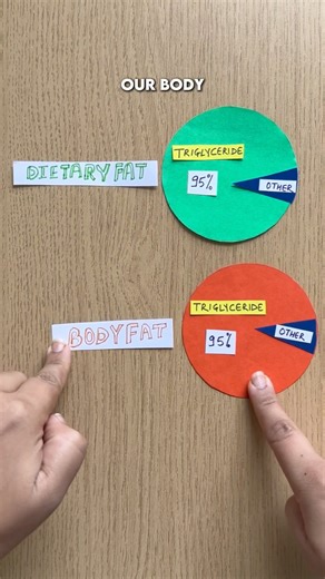 Triglycerides simplified #healtheducation #metabolichealth #fitnessandhealth