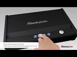 SentrySafe Pistol Safes - Program User Codes