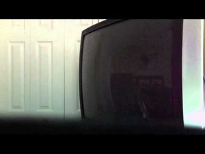 My VHS Collection Part 1