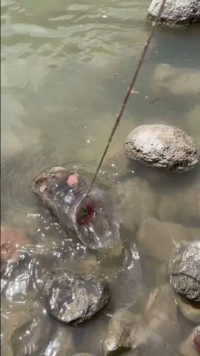 Homemade crawfish trap.