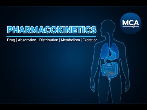 #The Silent Conversation: How The Body Speaks to Its Medicine