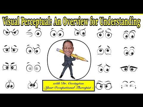 Visual Perception: An Overview for Understanding
