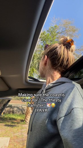 The Thirsty Hamster: Funny Hamster Videos for Summer Fun!