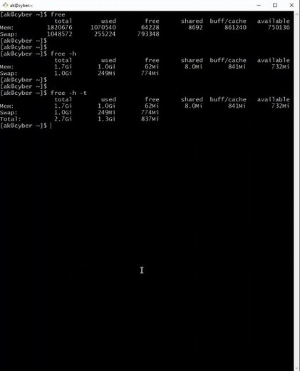 How to check the memory usage in Linux?