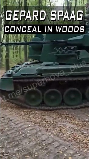Gepard Self Propelled Anti-Aircraft Gun System SPAAG concealed in woods