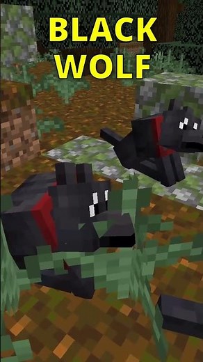 Where To Find EVERY Wolf In Minecraft!