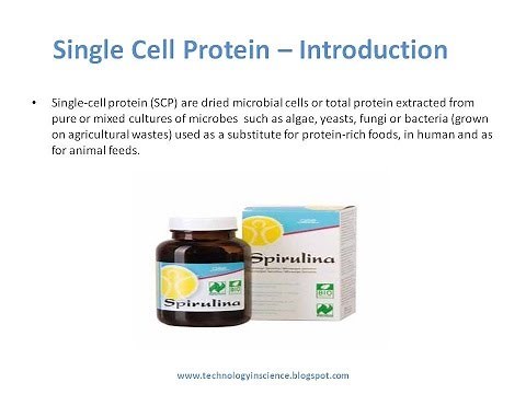 Single Cell Protein SCP Process, Application and Benefits
