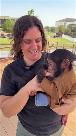 Chilling with a cute baby chimpanzee 🐒