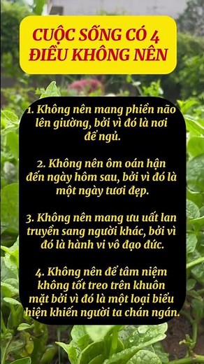 4 Điều Không Nên #trietlysong #baihoccuocsong #cuocsong