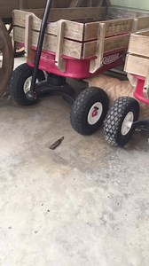 2.3K views · 81 reactions | Another Typical Day at Ranch Hand Rescue A Cat & A Toad. Why wont you play with me? | Ranch Hands Rescue | Facebook