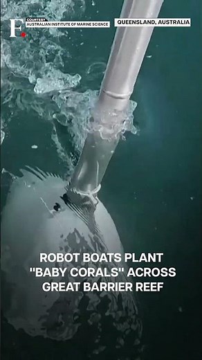 Watch: Tiny Robot Boats Plant "Baby Corals" Across Great Barrier Reef | N18G