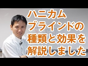 ハニカムブラインドの種類と効果を解説しました